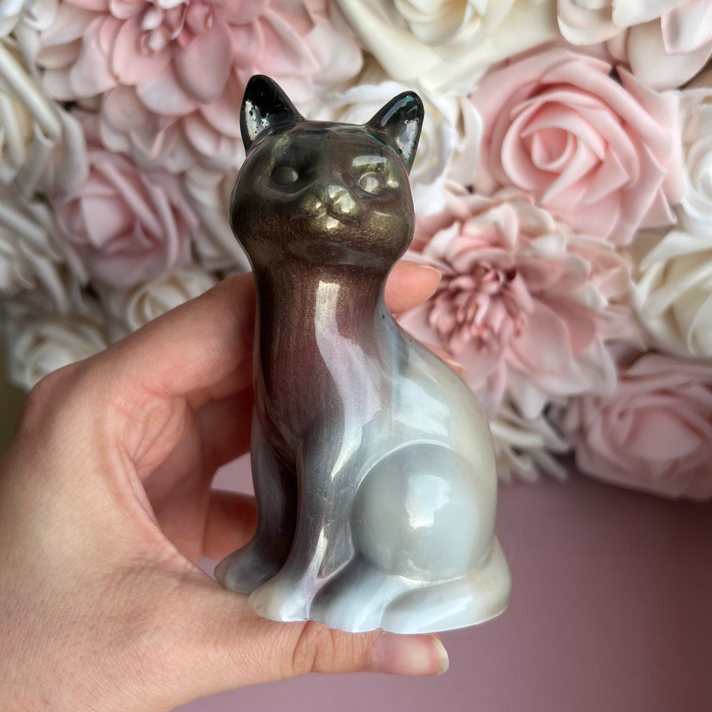 Katze / verschiedene Varianten