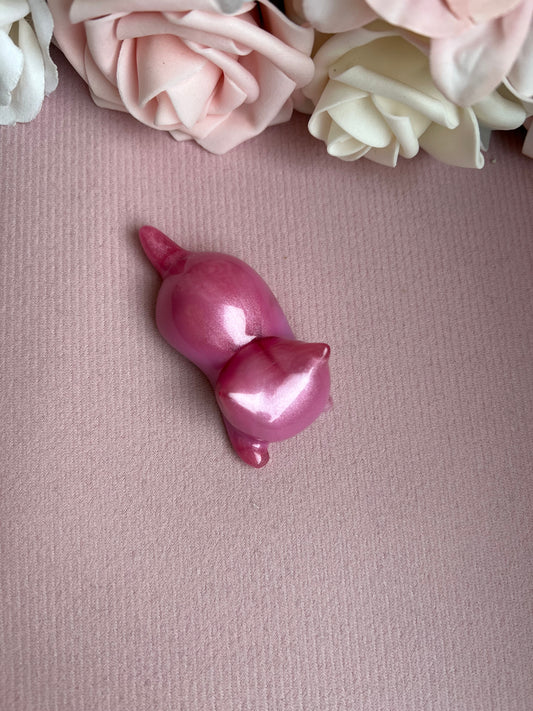 Magnet - Katze / verschiedene Varianten