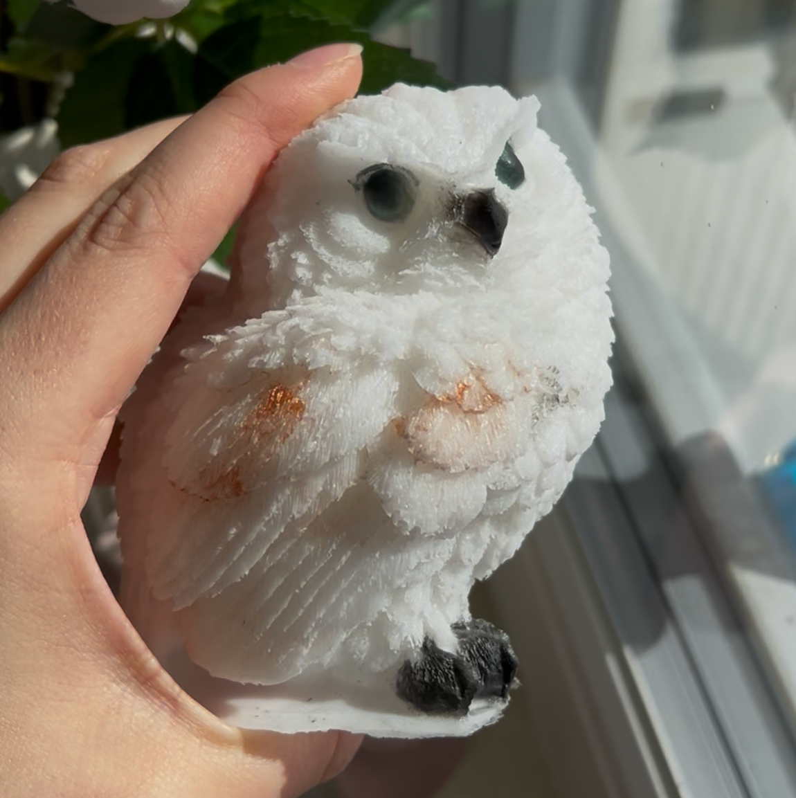 Eule / verschiedene Varianten