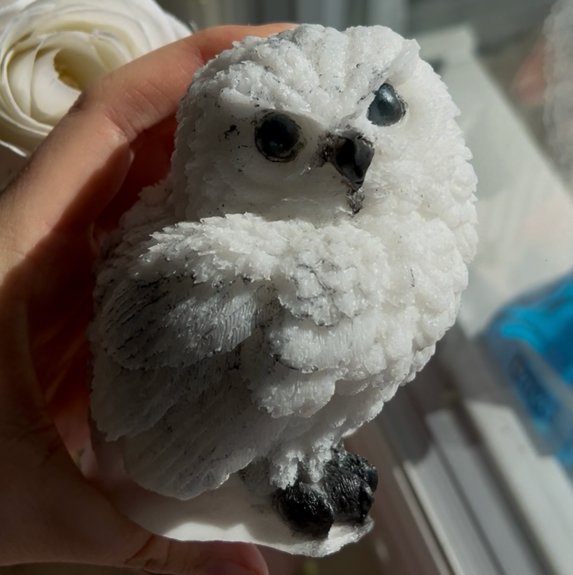 Eule / verschiedene Varianten