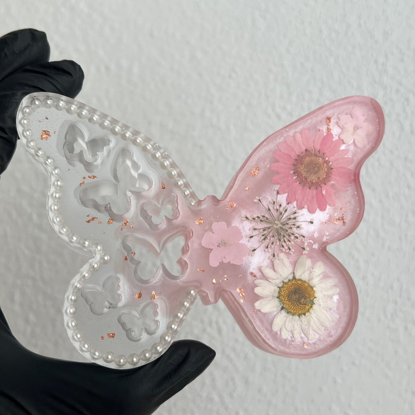 Schmetterling / verschiedene Varianten