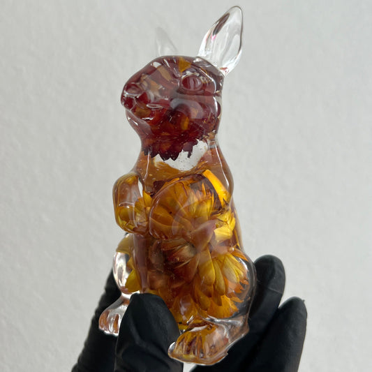 Hase / verschiedene Varianten