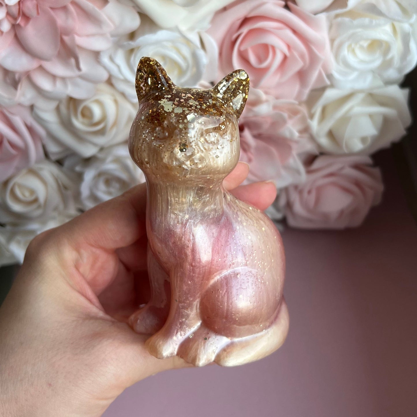 Katze / verschiedene Varianten