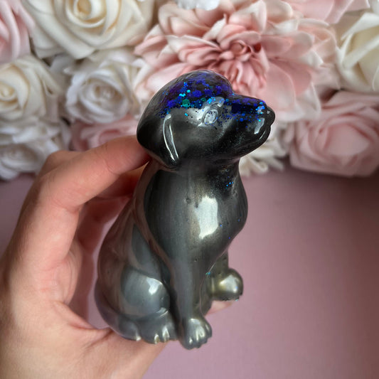 Hund / verschiedene Varianten